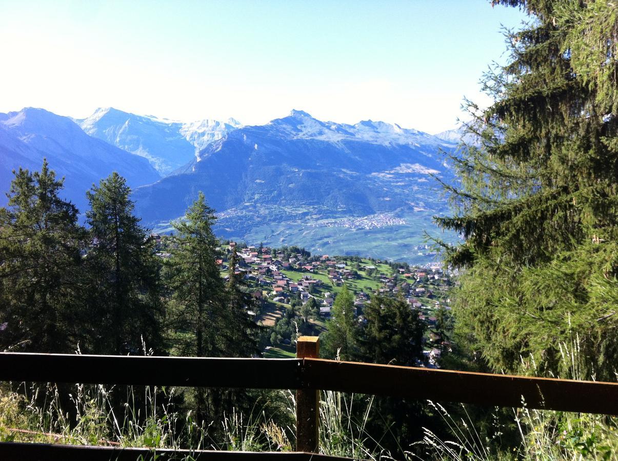 Greppon Blanc A2 Apartman Nendaz Kültér fotó